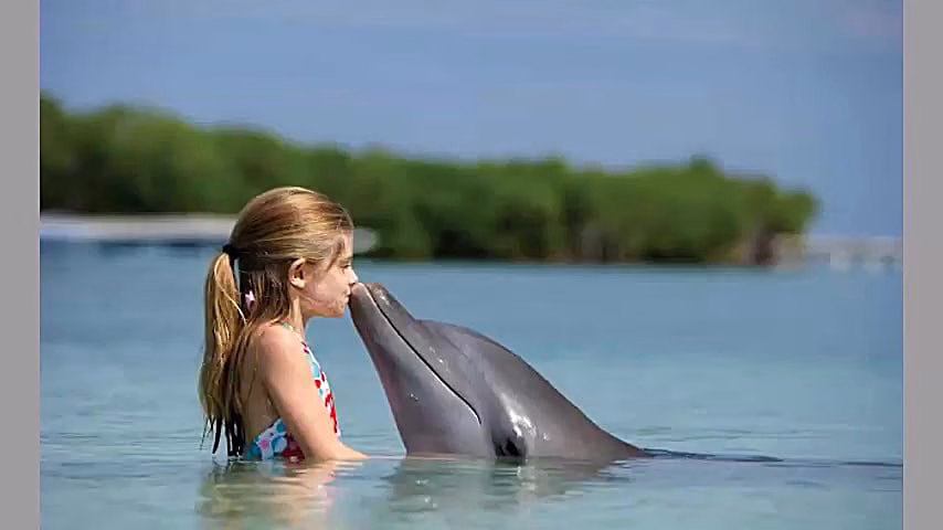 هدیه‌های دلفین Mystique در روزهای قرنطینه؛ دوستی از دل دریا