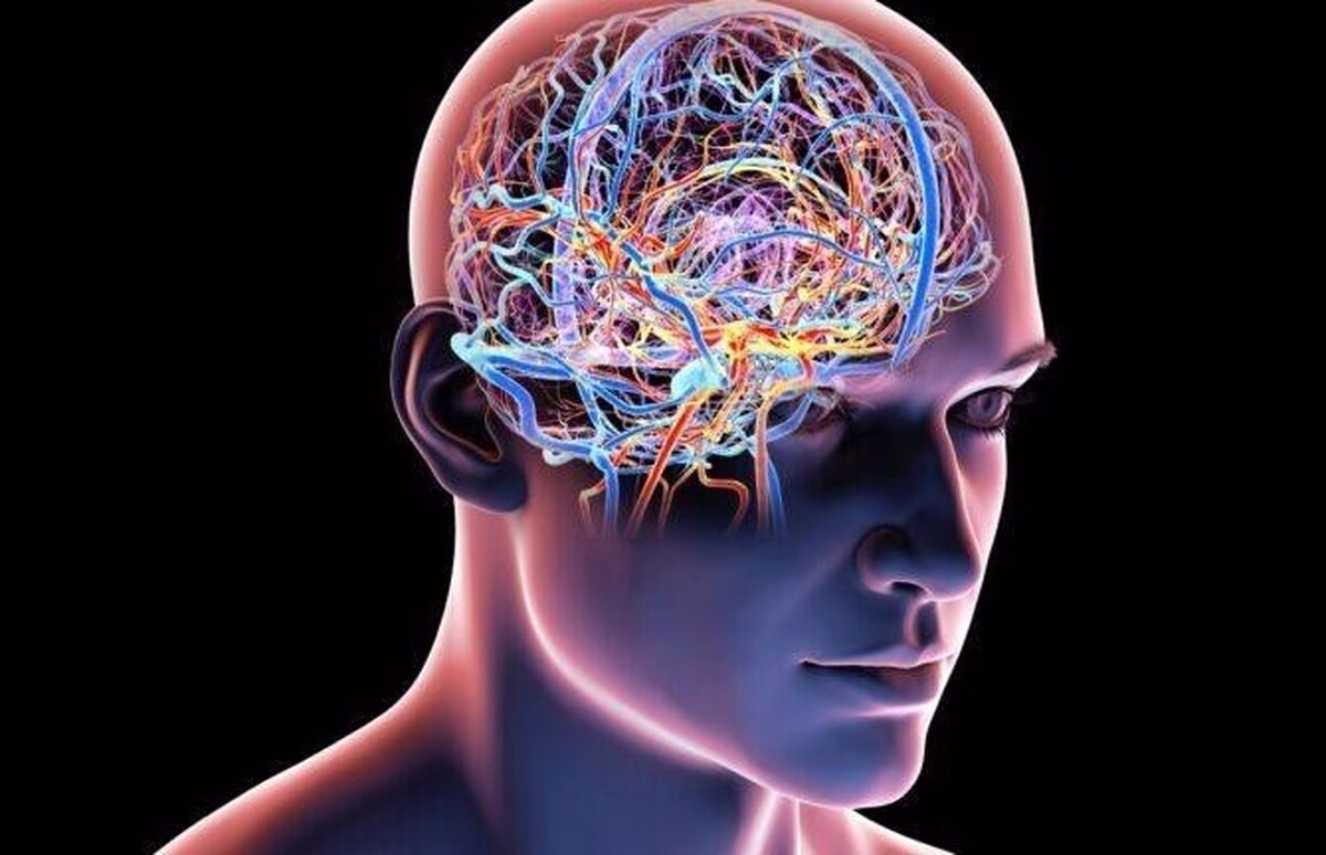 پژوهشگران: خطر تبدیل علوم اعصاب به «سلاح مغزی» واقعی است