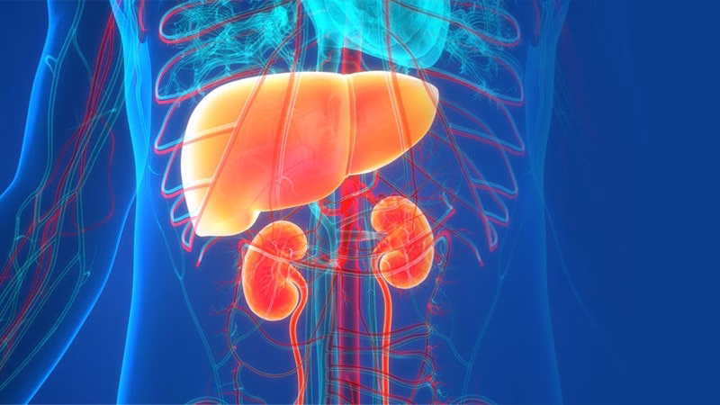 رشد مینی‌کبد در بدن انسان؛ انقلابی در درمان نارسایی کبد