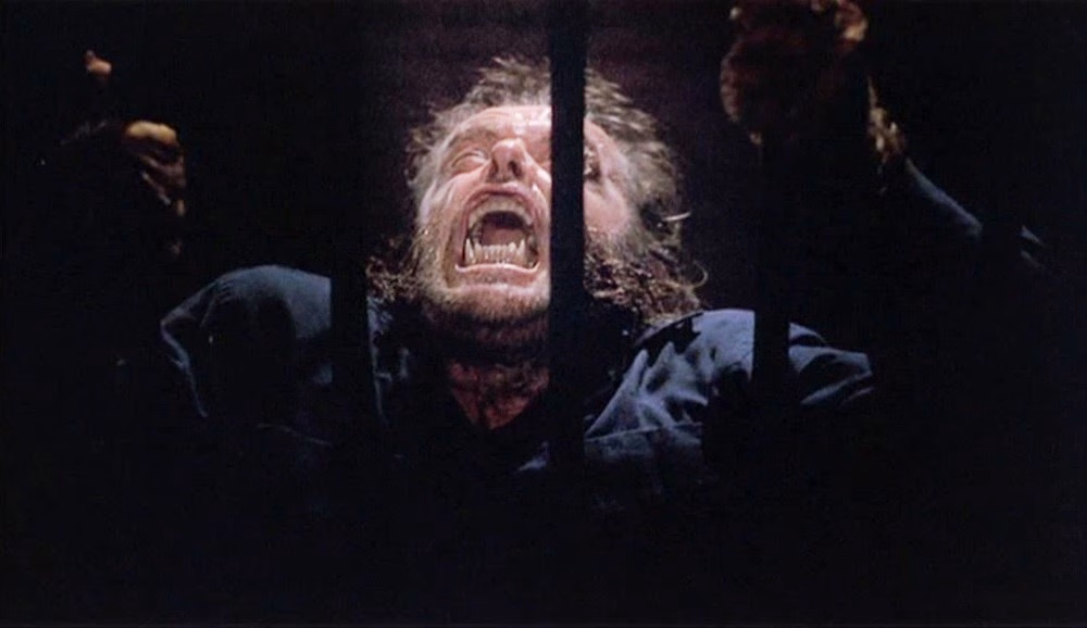 نقد و بررسی عمیق و تحلیلی فیلم The Wolf (1994)