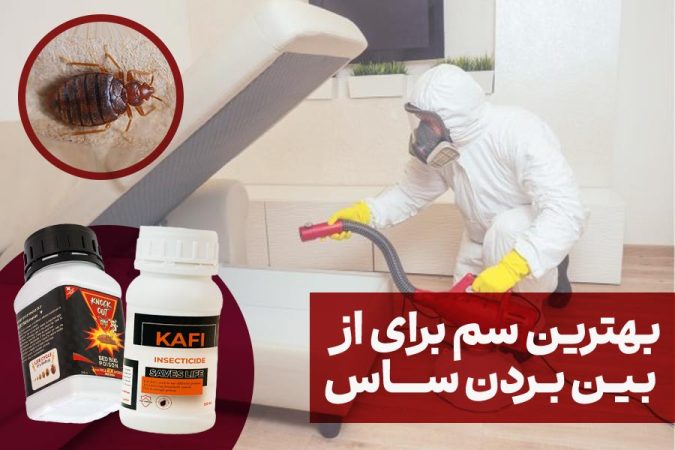 بهترین سم برای از بین بردن ساس